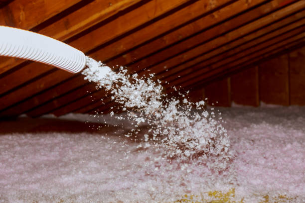Best Residential Insulation in Starkville, MS