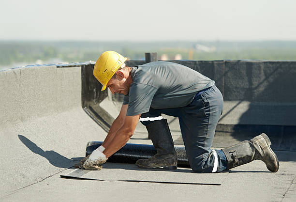 Best Insulation Materials and Products in Starkville, MS